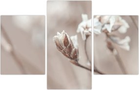 Tablou - Detaliu ramură (90x60 cm)