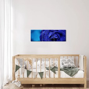 Tablou cu trandafir albastru (cu ceas) (90x30 cm)