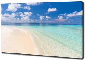 Tablou canvas Plajă în maldive