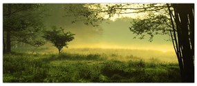 Tablou - Pădurea trezită (120x50 cm)