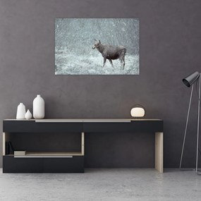 Tablou - Elan într-o pădure înzăpezită (90x60 cm)