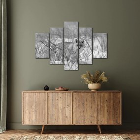 Tablou - Vulpe,alb-negru (150x105 cm)