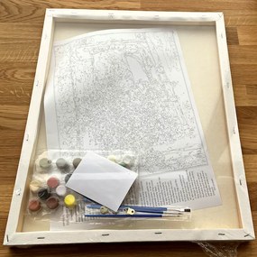 PIPPER | Pictura pe numere cu un cadru "Pisică colorată" 50x40 cm
