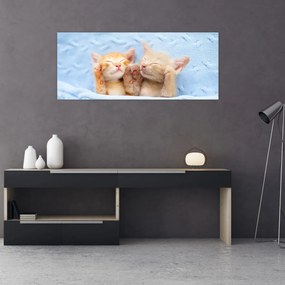 Tablou - Pisicuțe adormite (120x50 cm)