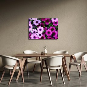 Tablou - Flori (70x50 cm)