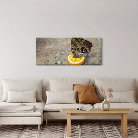 Tablou cu fluturi (120x50 cm)