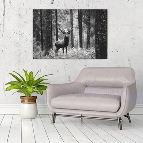 Tablou - Căprioare in pădure 2,alb-negru (90x60 cm)