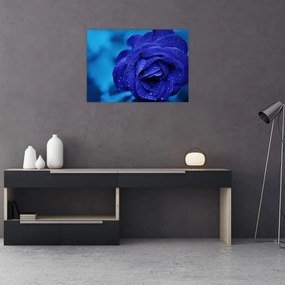 Tablou pe sticlă cu trandafir albastru (70x50 cm)