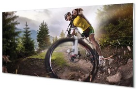 Tablouri acrilice Cloud mountain bike