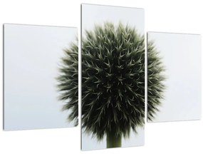 Tablou - Sfere de flori (90x60 cm)