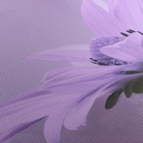 Tablou - Flori mov (90x60 cm)
