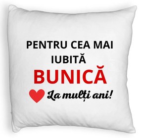 Perna Decorativa Fluffy, pentru Bunica 16, 40x40 cm, Alba, Husa Detasabila, Burduf