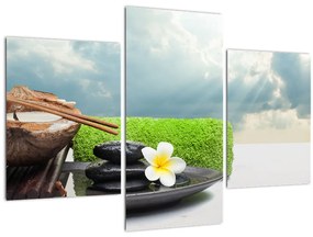 Tablou - Spa and relax (90x60 cm)