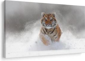 Tablou cutigru fugind prin zăpadă (90x60 cm)