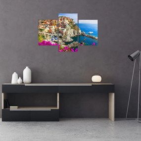 Tablou - Satul italian Manarola (90x60 cm)