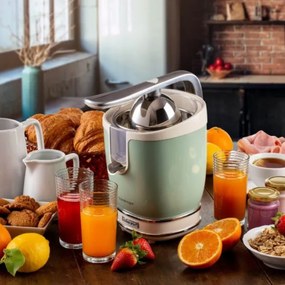 Presa electrica pentru citrice Ariete VINTAGE JUICER 0413/04, 85W, Corp metalic, Functionare silentioasa, 2 atasamente, Verde
