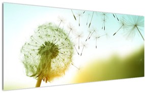 Tablou - Păpădia în vânt (120x50 cm)