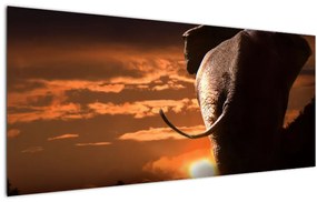 Tablou cu elefant (120x50 cm), în 40 de alte dimensiuni noi