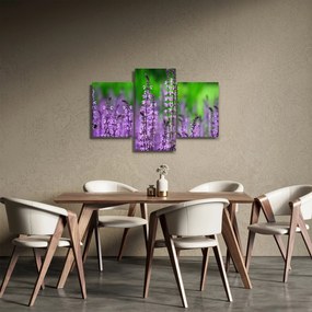 Tablou cu flori de luncă violete (90x60 cm)