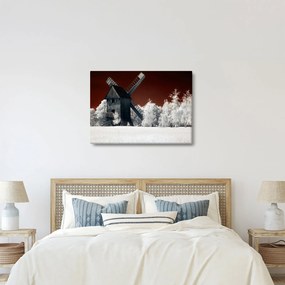 Tablou cu moară (70x50 cm)