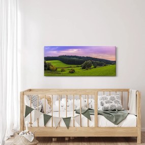 Tablou cu lunca (120x50 cm)