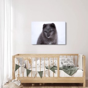 Tablou cu vulpe polară (90x60 cm)