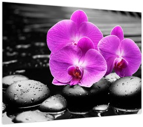 Tablou pe sticlă - Orhidee violet (70x50 cm)