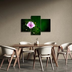 Tablou cu floare roz (90x60 cm)