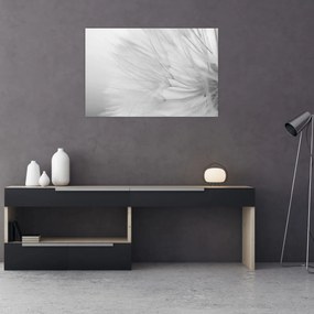 Tablou - Dandelion (90x60 cm)