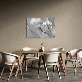 Tablou pe sticlă - Floare înflorită (70x50 cm)
