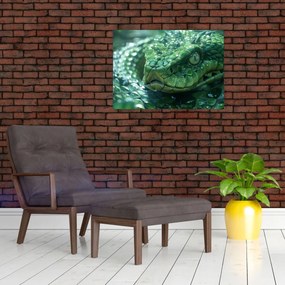 Tablou - Portret de șarpe (70x50 cm)