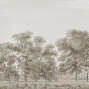 Fototapet, Whispering Forest, Beige, Rebel Walls