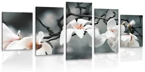 Tablou 5-piese trezirea magnoliei