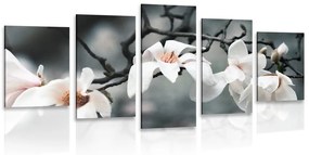 Tablou 5-piese trezirea magnoliei