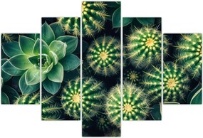 Tablou - Cactuși (150x105 cm)