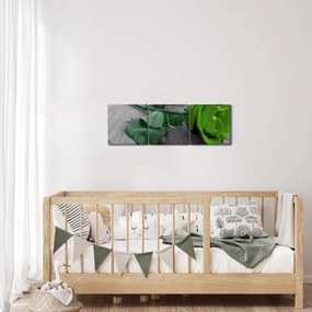 Tablou - Trandafir verde (cu ceas) (90x30 cm)