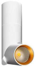 Spot LED modern directionabil aplicat tavan/plafon Santos alb