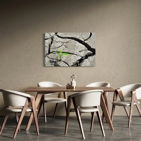 Tablou - Fisuri (90x60 cm)