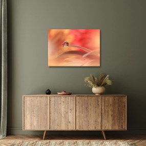 Tablou picăturii de rouă pe floare (70x50 cm)