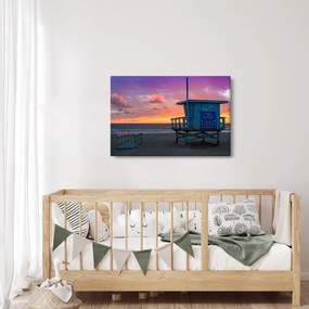 Tablou de pe plaja Santa Monica (90x60 cm)