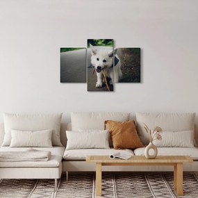 Tablou cu câinele alb (90x60 cm)