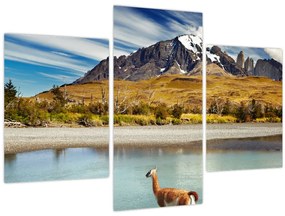 Tablou - Parcul Național Torres del Paine (90x60 cm)