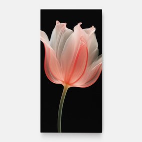 Tablou Canvas, 100x200cm, Dormitor si Living, Flori, Lalele, Pastel Pink Tulip