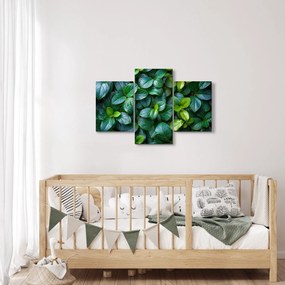 Tablou - Plante verzi (90x60 cm)