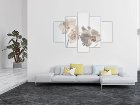 Tablou cu orhidee albă (150x105 cm)
