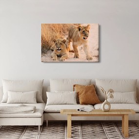 Tablou cu pui de leu (90x60 cm)