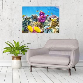 Tablou - Lumea mării (70x50 cm)