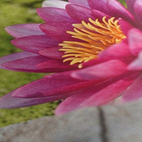 Tablou - Lotus (70x50 cm)
