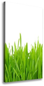 Imprimare tablou canvas Iarbă verde