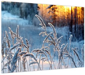 Tablou - Pajiște de iarnă (70x50 cm)